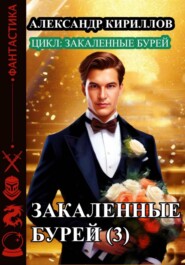 бесплатно читать книгу Закаленные бурей 3 автора Александр Кириллов