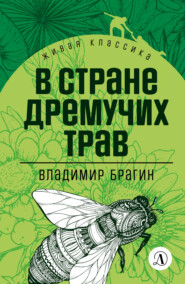 бесплатно читать книгу В Стране Дремучих Трав автора Владимир Брагин