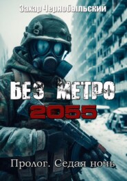 бесплатно читать книгу Без метро 2055. Пролог. Седая ночь автора  Захар Чернобыльский