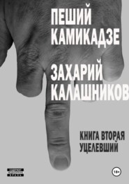 бесплатно читать книгу Пеший камикадзе, или Уцелевший автора Захарий Калашников