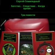 бесплатно читать книгу Бегство… Следствие… Когда время… автора Сергей Семипядный