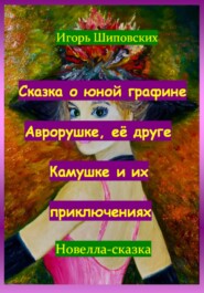 бесплатно читать книгу Сказка о юной графине Аврорушке, её друге Камушке и их приключениях автора Игорь Шиповских