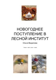 бесплатно читать книгу Новогоднее поступление в Лесной Институт автора Ольга Ведилова