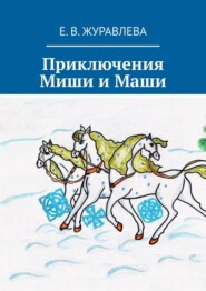 бесплатно читать книгу Приключения Миши и Маши автора Е. В. Журавлева