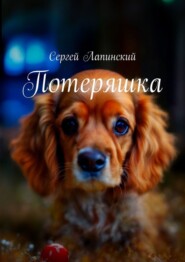 бесплатно читать книгу Потеряшка автора Сергей Лапинский