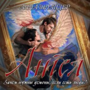 бесплатно читать книгу Ангел автора Анна Шнайдер