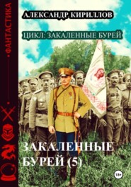бесплатно читать книгу Закаленные бурей 5 автора Александр Кириллов