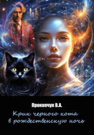 бесплатно читать книгу Крик черного кота в рождественскую ночь автора Вера Прокопчук