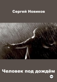 бесплатно читать книгу Человек под дождём автора Сергей Новиков