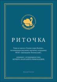 бесплатно читать книгу Риточка. Сказки озера Болонь автора Виталий Тягунин