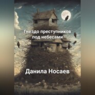 бесплатно читать книгу Гнездо преступников под небесами автора Данила Носаев