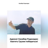 бесплатно читать книгу Адвокат Кахабер Родинадзе: Хватить Грузии побираться! автора Кахабер Родинадзе