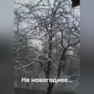 бесплатно читать книгу Не новогоднее… автора Олег Фролов