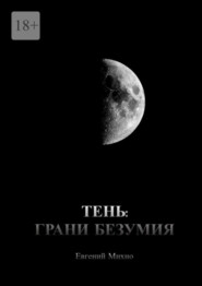 бесплатно читать книгу Тень: Грани безумия автора Евгений Михно