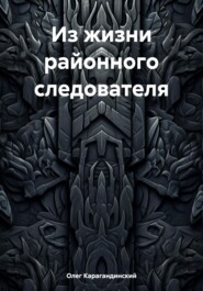 бесплатно читать книгу Из жизни районного следователя автора Олег Карагандинский