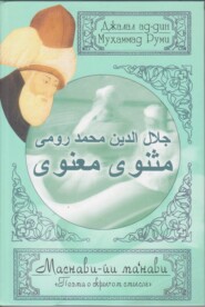 бесплатно читать книгу Поэма о скрытом смысле. Второй дафтар автора Джалал ад-Дин Руми