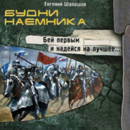 бесплатно читать книгу Будни наемника автора Евгений Шалашов