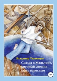 бесплатно читать книгу Сказка о Мальчике, который спешил стать взрослым автора Владимир Тюменцев