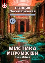 бесплатно читать книгу Станция Лесопарковая 12. Мистика метро Москвы автора Борис Шабрин
