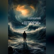 бесплатно читать книгу Сценарий «Шторм» автора Евгений Киреев