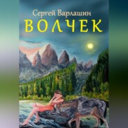 бесплатно читать книгу Волчек автора Сергей Варлашин