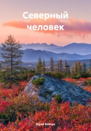 бесплатно читать книгу Северный человек автора Юрий Бойчук