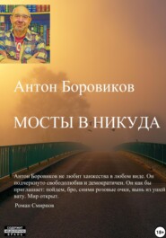 бесплатно читать книгу Мосты в никуда автора Антон Боровиков
