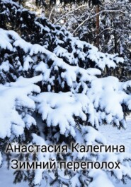 бесплатно читать книгу Зимний переполох автора Анастасия Калегина