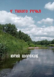 бесплатно читать книгу У тихого ручья автора Юрий Шорохов