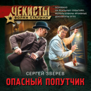 бесплатно читать книгу Опасный попутчик автора Сергей Зверев