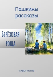 бесплатно читать книгу Берёзовая роща автора Павел Котов