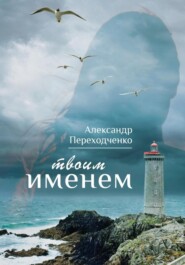 бесплатно читать книгу Твоим именем автора Александр Переходченко
