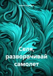 бесплатно читать книгу Селя, разворачивай самолет автора Кирилл Кудряшов