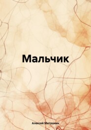 бесплатно читать книгу Мальчик автора Алексей Митронин