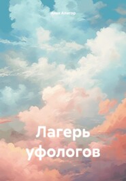 бесплатно читать книгу Лагерь уфологов автора Илья Алигор