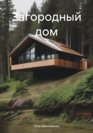 бесплатно читать книгу Загородный дом автора Пётр Дмитриенко