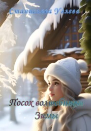 бесплатно читать книгу Посох волшебницы Зимы автора Станислава Углева
