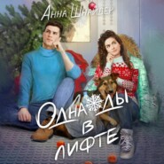 бесплатно читать книгу Однажды в лифте автора Анна Шнайдер