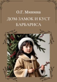 бесплатно читать книгу Дом-замок и куст барбариса автора Ольга Минина