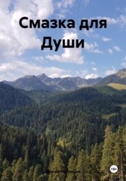 бесплатно читать книгу Смазка для Души автора Сергей Петрюков