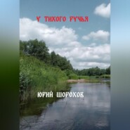 бесплатно читать книгу У тихого ручья автора Юрий Шорохов