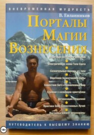 бесплатно читать книгу Порталы магии вознесения автора Владимир Евланников