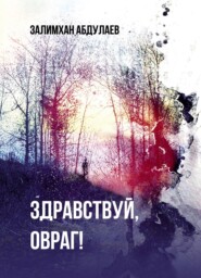 бесплатно читать книгу Здравствуй, овраг! автора Залимхан Абдулаев