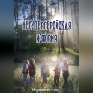 бесплатно читать книгу Несупергеройская история автора Анна Евдокименко