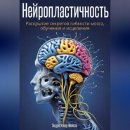 бесплатно читать книгу Нейропластичность: Раскрытие секретов гибкости мозга, обучения и исцеления автора Эндрю Уокер-Мейсон