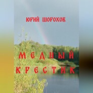 бесплатно читать книгу Медный крестик автора Юрий Шорохов