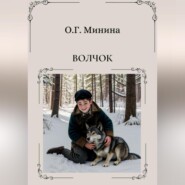 бесплатно читать книгу Волчок автора Ольга Минина