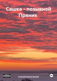 бесплатно читать книгу Сашка – позывной Пряник автора Алексей Зимнегорский