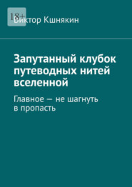 бесплатно читать книгу Запутанный клубок путеводных нитей вселенной. Главное – не шагнуть в пропасть автора Виктор Кшнякин