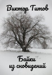 бесплатно читать книгу Байки из сновидений автора Виктор Титов